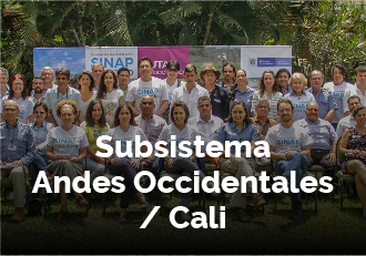 04 bot Subsistema Andes Cali0