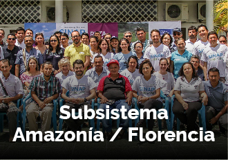 06 bot Subsistema Florencia0